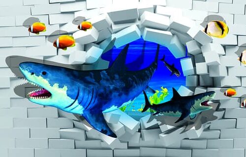 wall