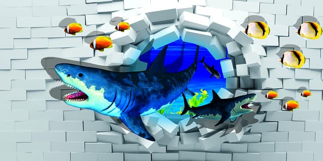 wall
